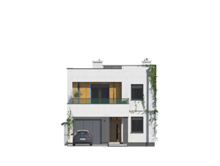 Dąb W - miniatura 2