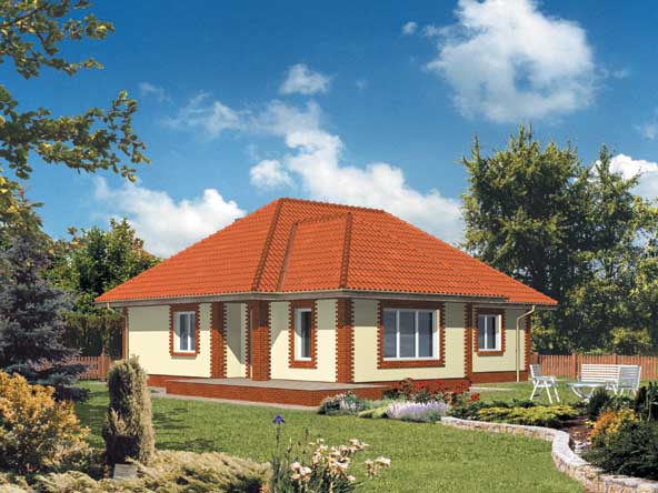 budowa domu WB-3984 - New-House