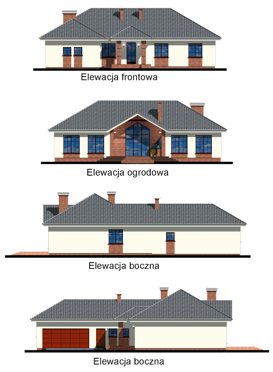 DONA - miniatura 3