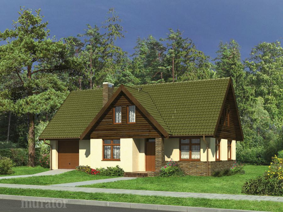 budowa domu Między sosnami M20 - New-House