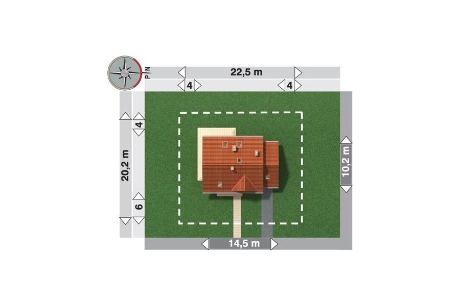 Maja Rex Grota - miniatura 6
