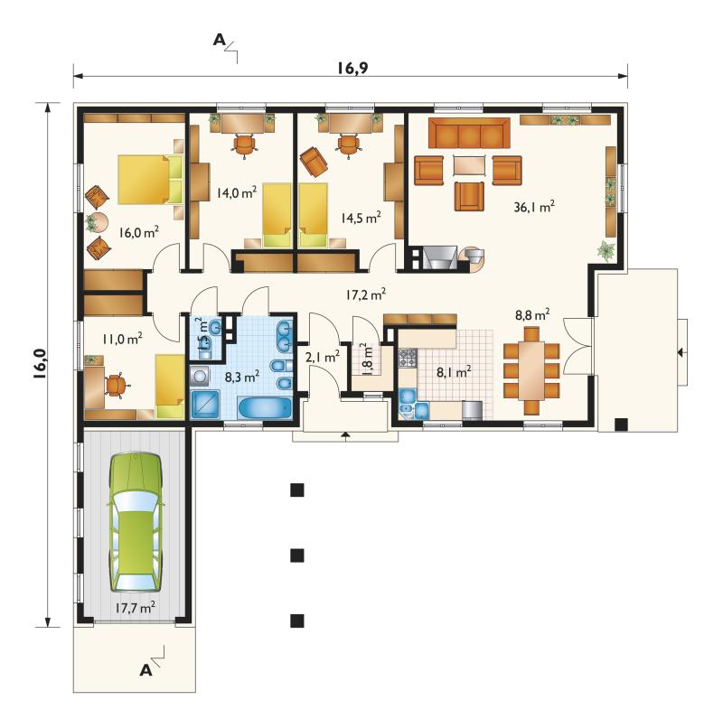 Zawilec - miniatura 3