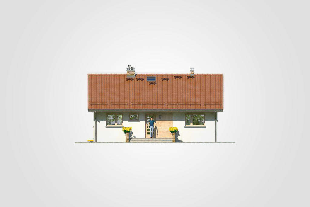 Ronaldo III (odbicie lustrzane) - miniatura 7