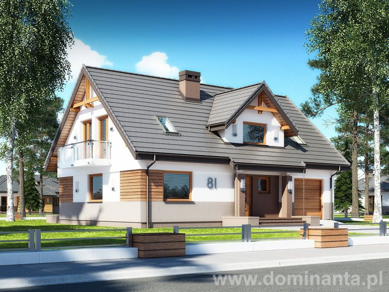 budowa domu DŻIN N - New-House
