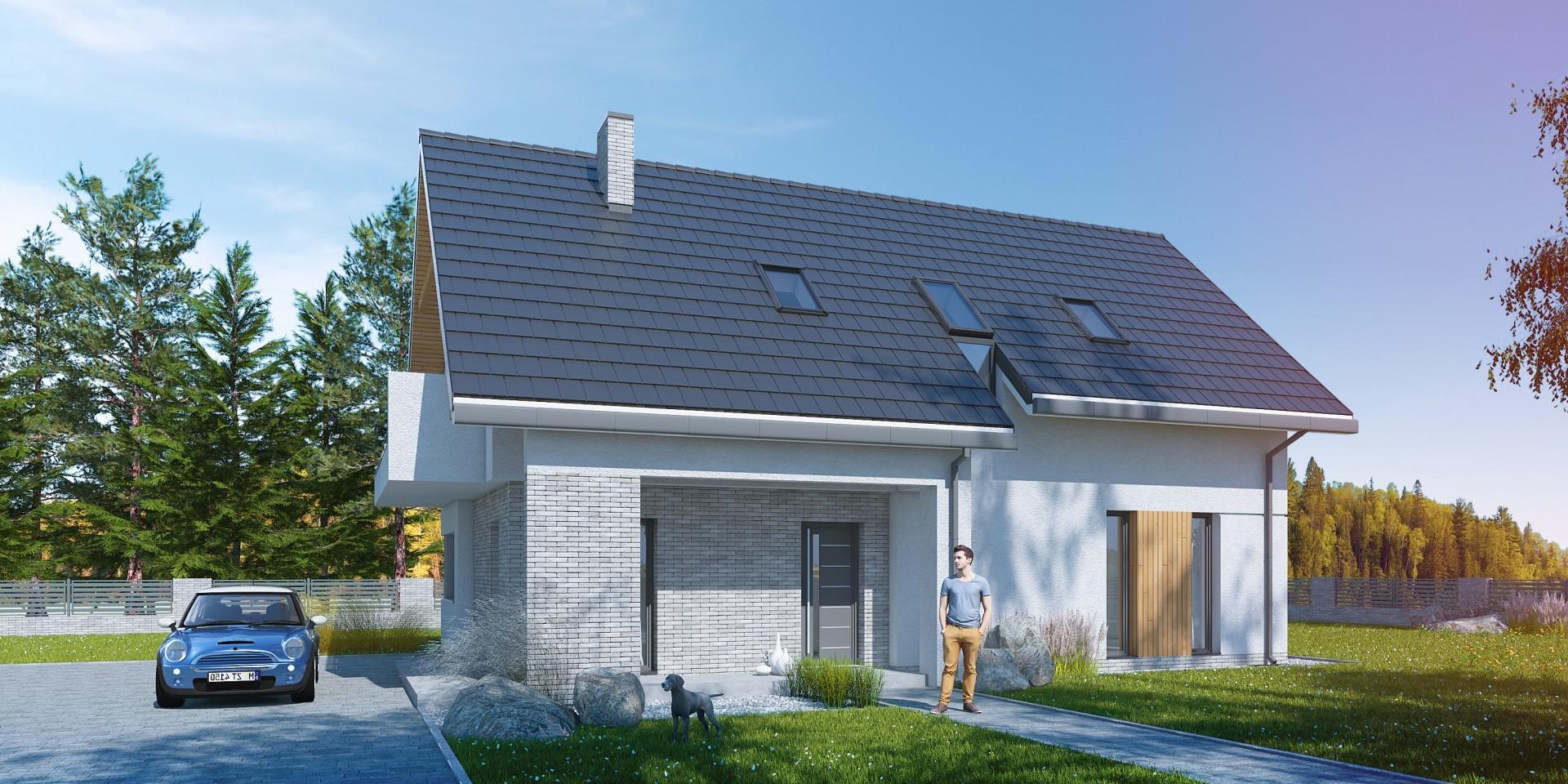 budowa domu Caprinus I (Odbicie lustrzane) - New-House