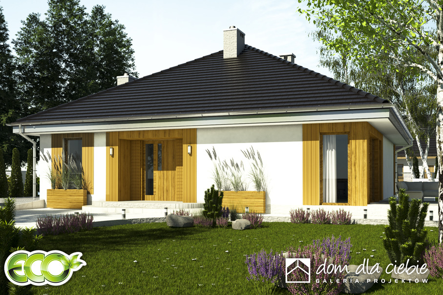 budowa domu Kalandra II bez garażu [B] (odbicie lustrzane) - New-House