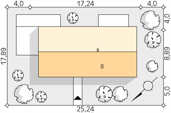 Paproć 3 (odbicie lustrzane) - miniatura 11
