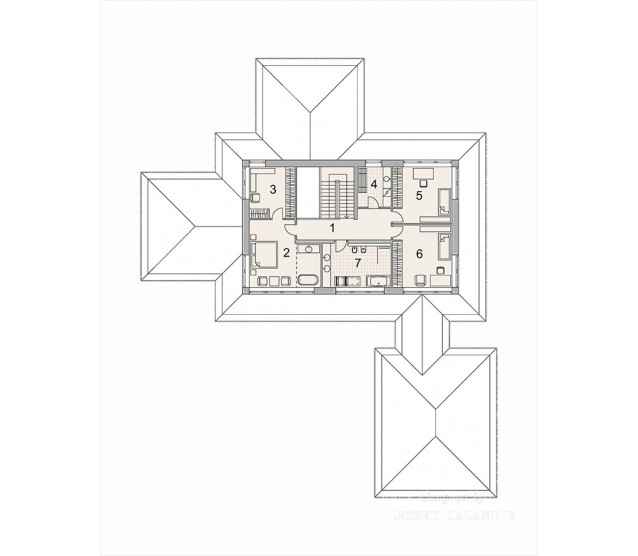 LK&1259 - miniatura 4