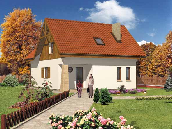 budowa domu WB-3965 - New-House