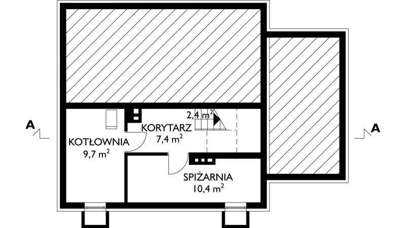 Aster - miniatura 4