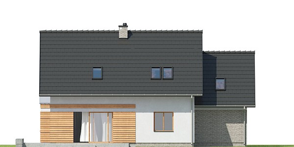 Asymmetricus I G1 - miniatura 7