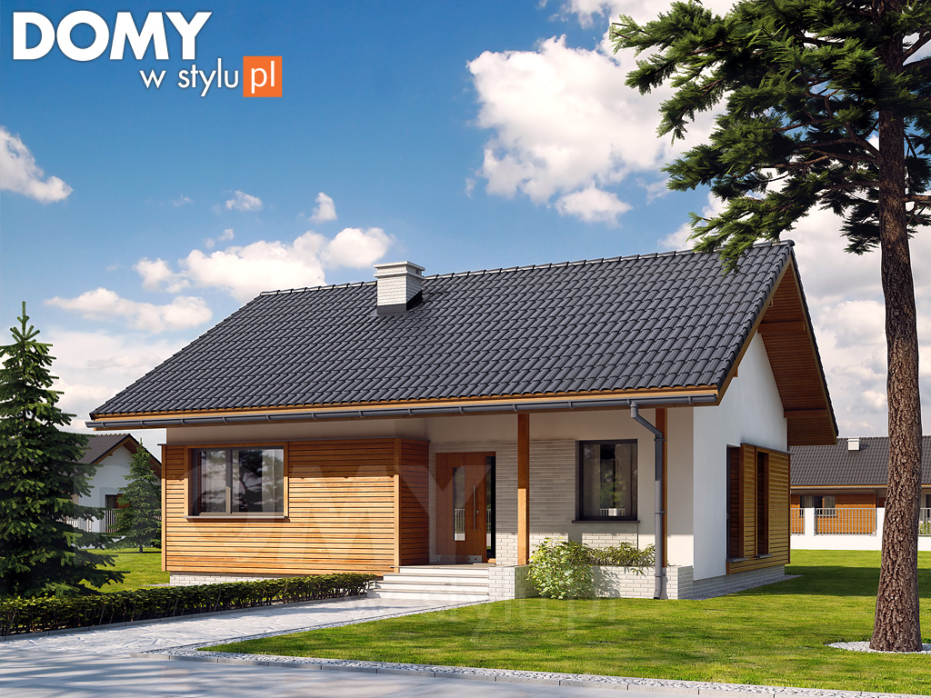 budowa domu Sepia - New-House