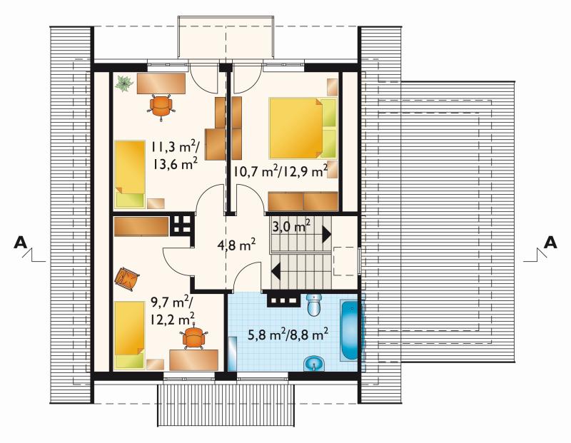 Aster-2 - miniatura 5