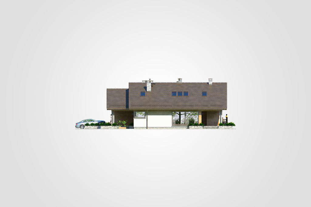 Pelikan XI (odbicie lustrzane) - miniatura 9