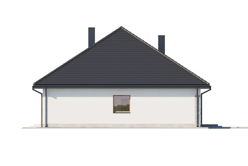 Domena 124 C2 (Odbicie lustrzane) - miniatura 6