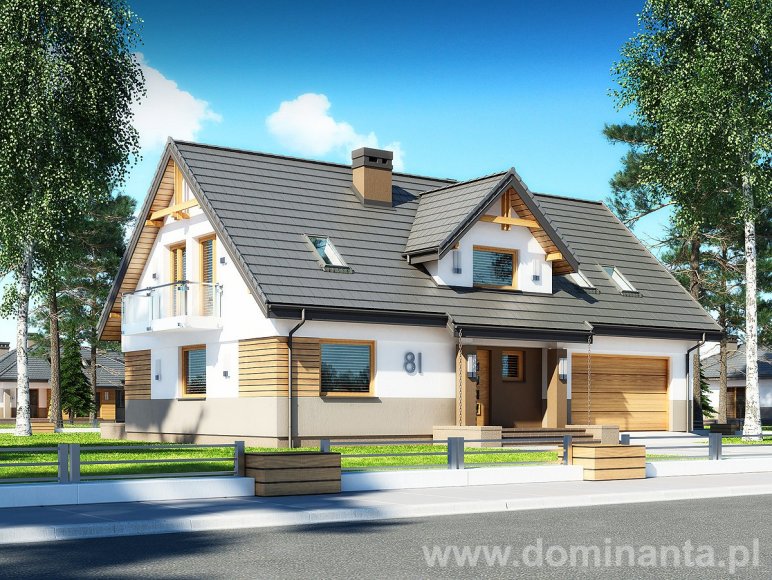 budowa domu DŻIN N 2G - New-House