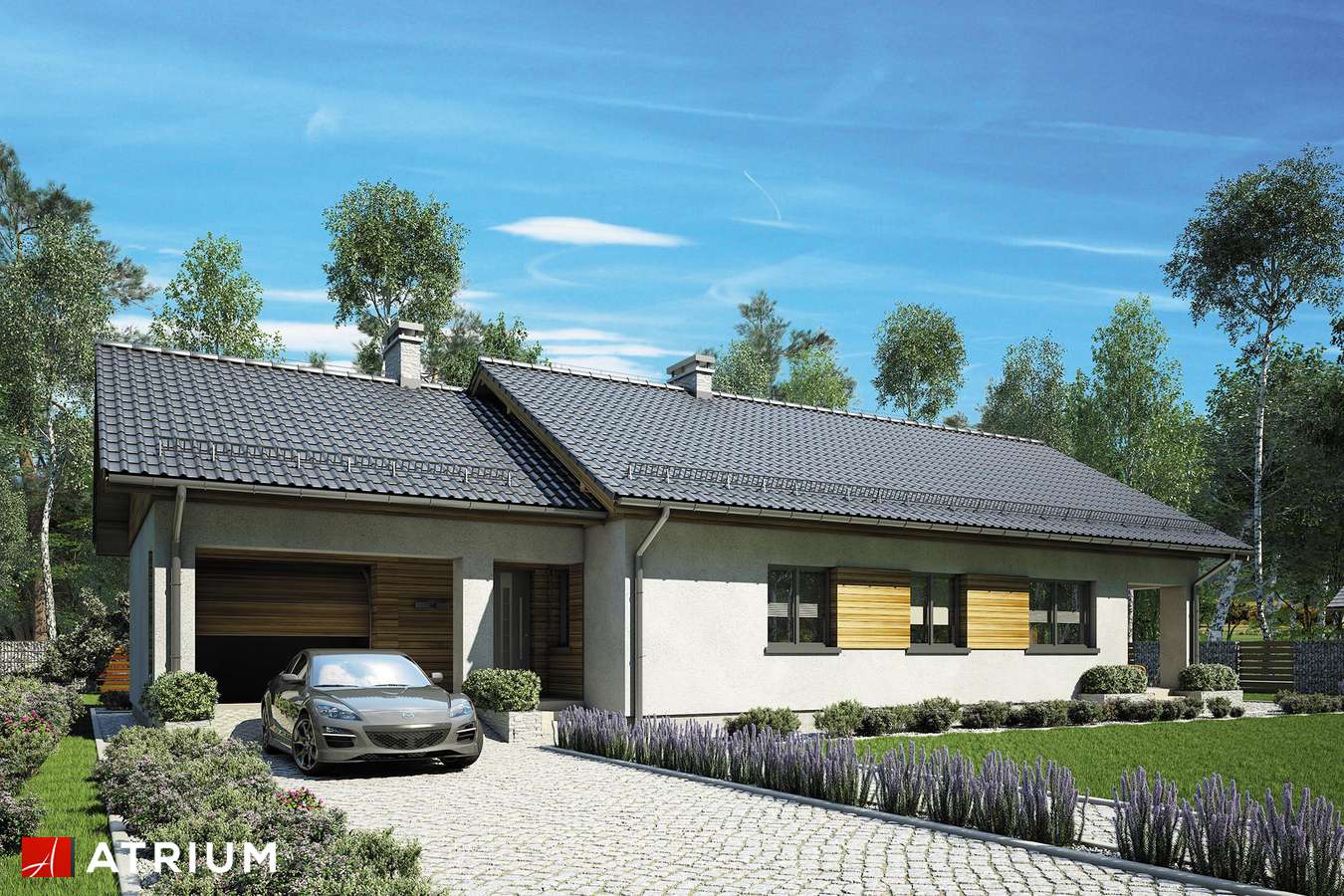 budowa domu Leo odbicie lustrzane - New- House