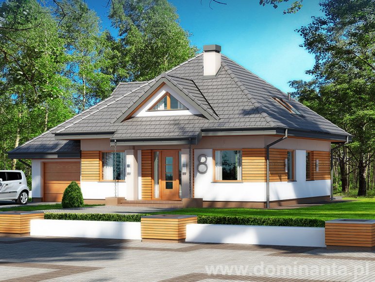 budowa domu SINDBAD N (Odbicie lustrzane) - New-House