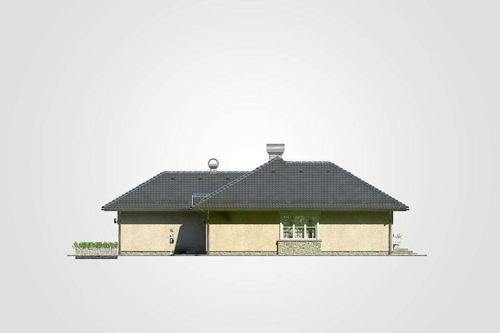 Silver (odbicie lustrzane) - miniatura 7