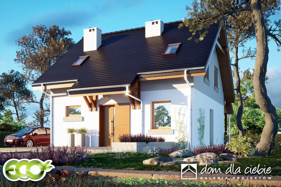 Budowa domu Daktyl bez garażu [B] (odbicie lustrzane) z New-House