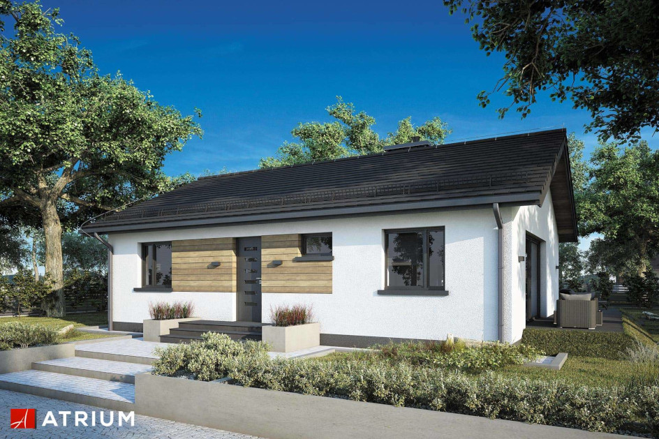 Budowa domu WEKTOR XIV (odbicie lustrzane) z New-House