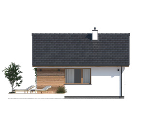 Imbir 4 (Odbicie lustrzane) - miniatura 7