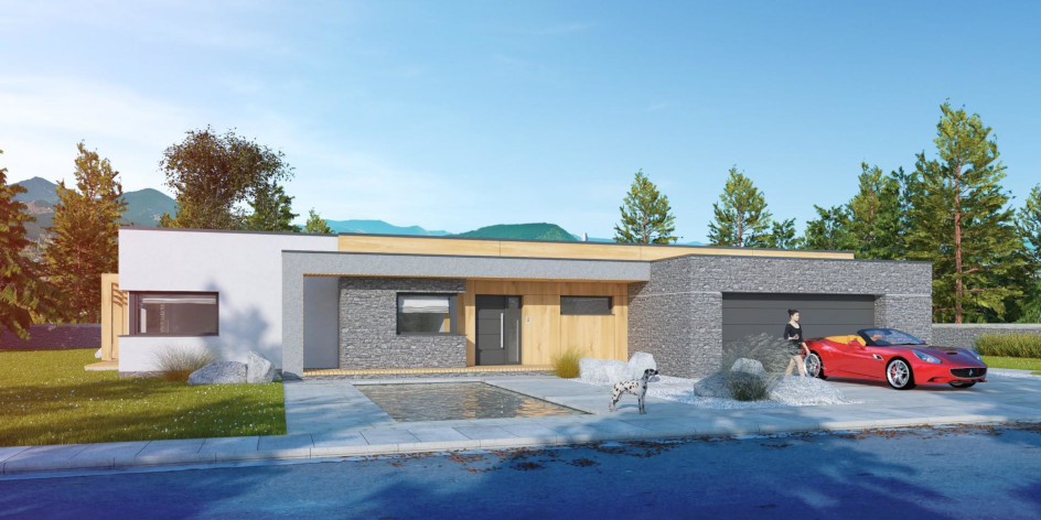 budowa domu ILLECEBROSUS V G2 (lustrzane odbicie) - New-House