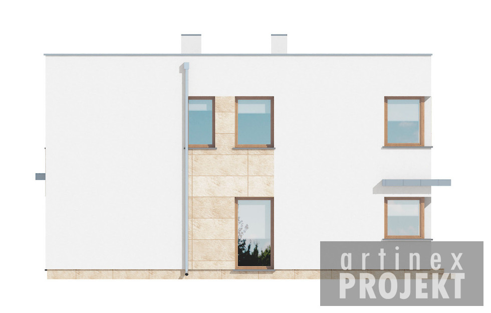 D118 (odbicie lustrzane) - miniatura 6