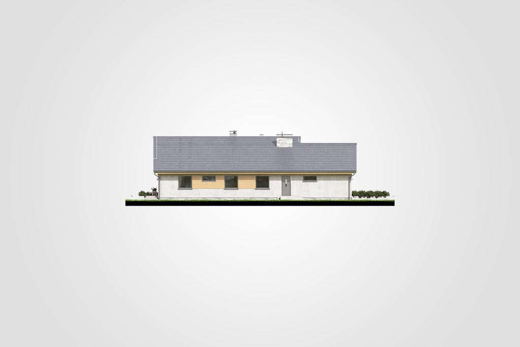 Ibis II (odbicie lustrzane) - miniatura 5