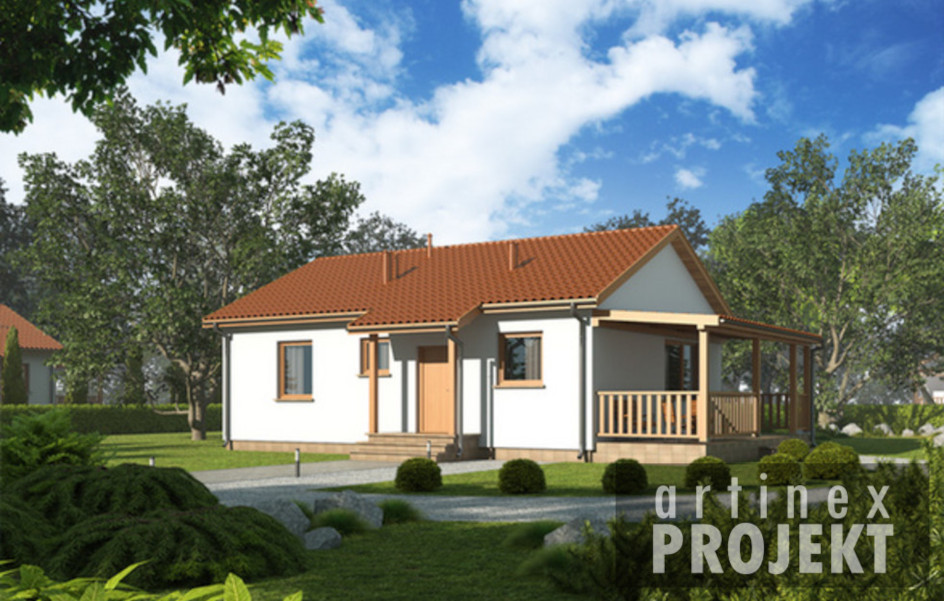 Budowa domu D16 - Jan WT2021 (odbicie lustrzane) z New-House