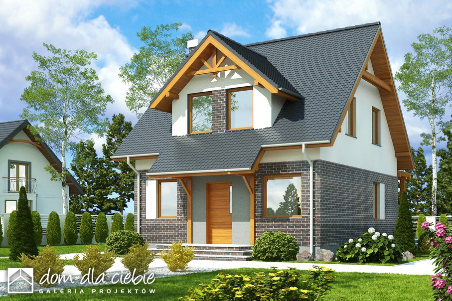 budowa domu Koliber bez garażu [B] - New-House