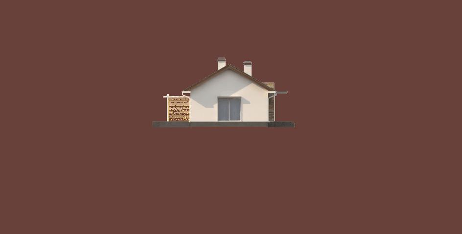 Z309 (odbicie lustrzane) - miniatura 7
