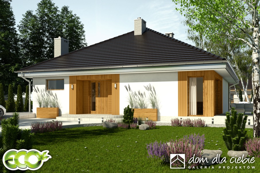 budowa domu Kalandra III bez garażu [B] (odbicie lustrzane) - New-House