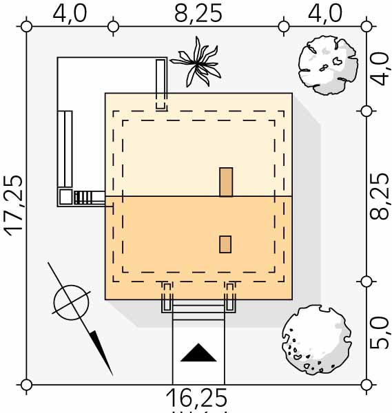 Imbir 4 (Odbicie lustrzane) - miniatura 2