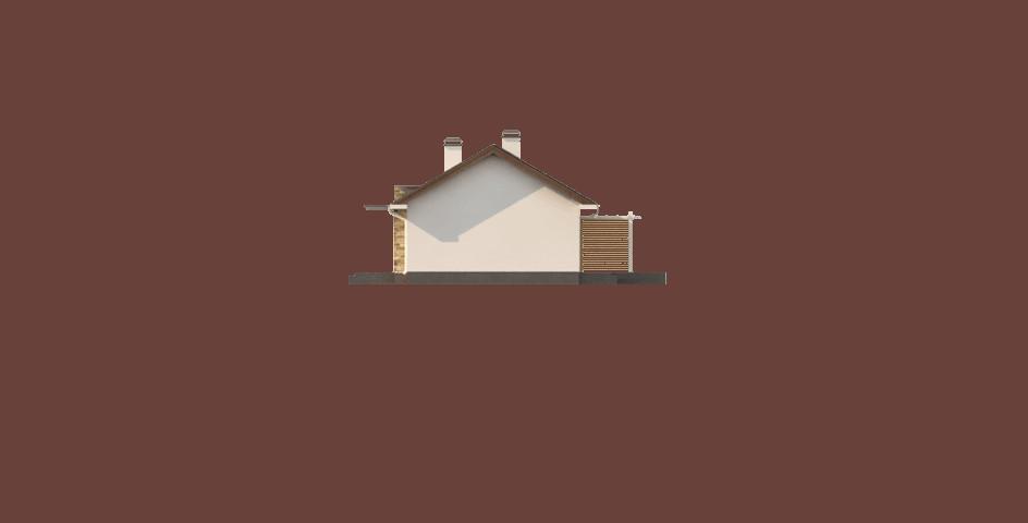 Z309 (odbicie lustrzane) - miniatura 8