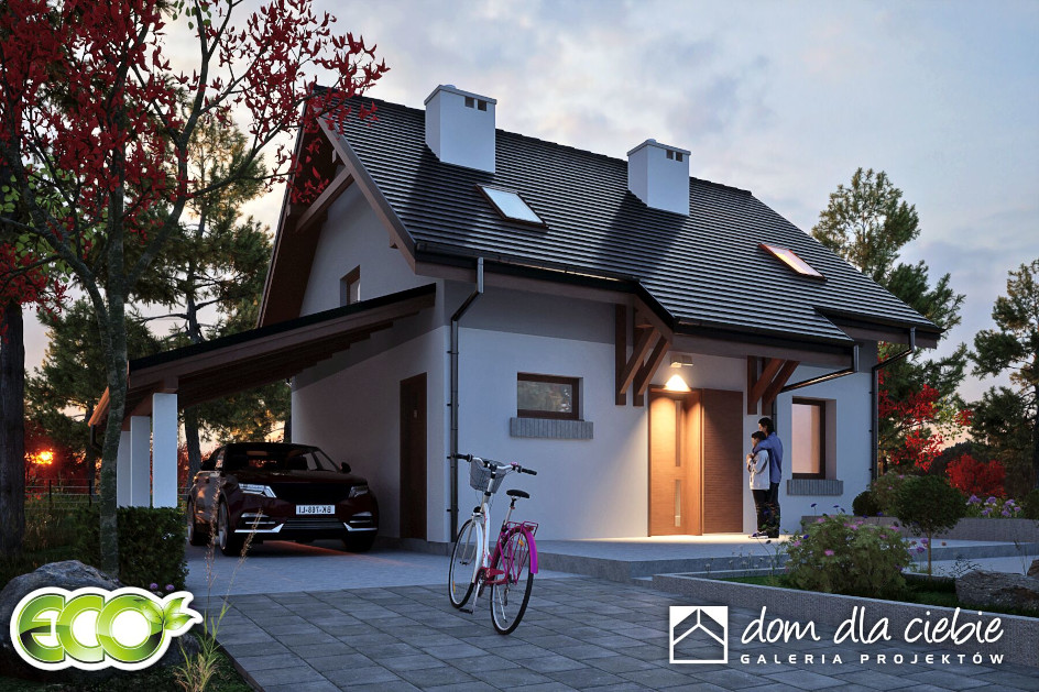 Budowa domu Figa z wiatą[A1] (odbicie lustrzane) z New-House