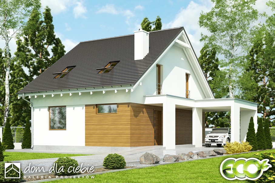 Głuszec z wiatą [A1] - miniatura 6