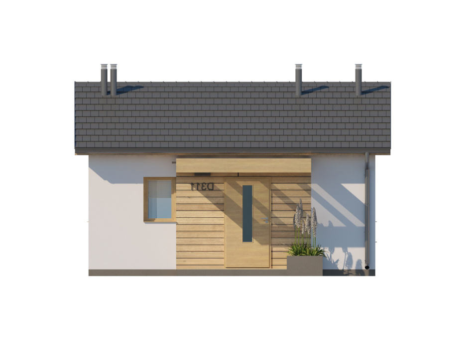 D311 (odbicie lustrzane) - miniatura 3