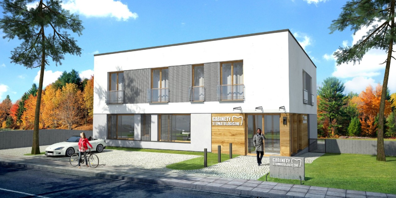 budowa domu Oppidanus I P (Odbicie lustrzane) - New-House