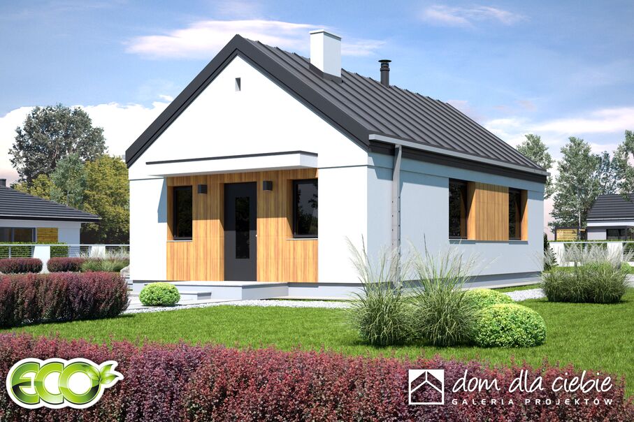 budowa domu Iwo bez garażu [B] (odbicie lustrzane) - New-House