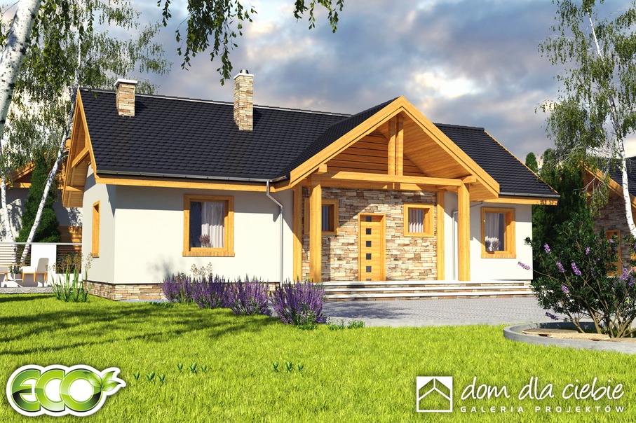 budowa domu Modraszka bez garażu [B] (odbicie lustrzane) - New-House