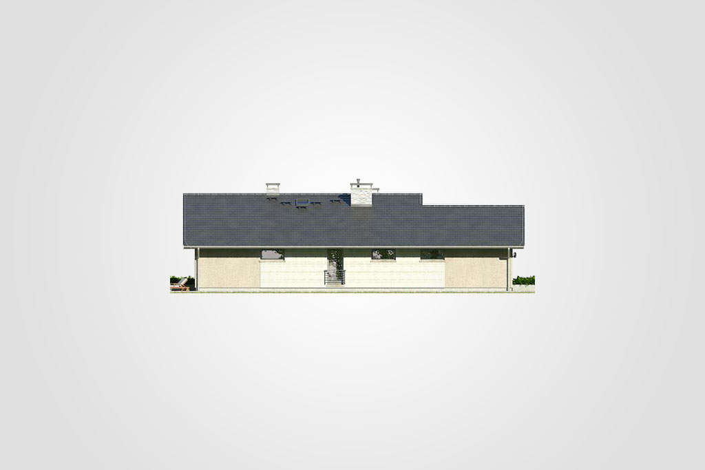 Pelikan XV (odbicie lustrzane) - miniatura 9