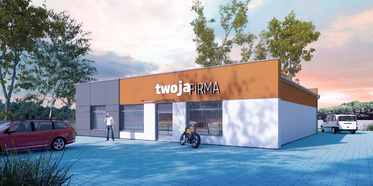 budowa domu Efficax I (Odbicie lustrzane) - New-House