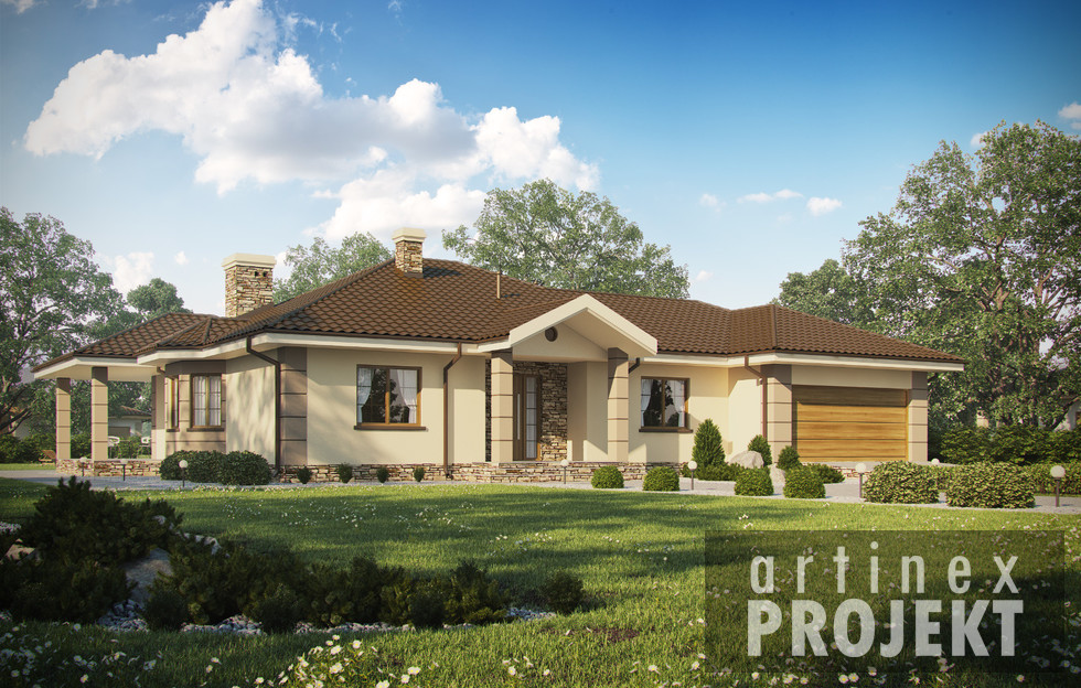 budowa domu- D172 - Zbigniew z garażem - New-House