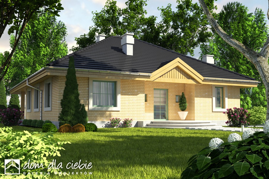 budowa domu Tomaszek II bez garażu [B] - New-House
