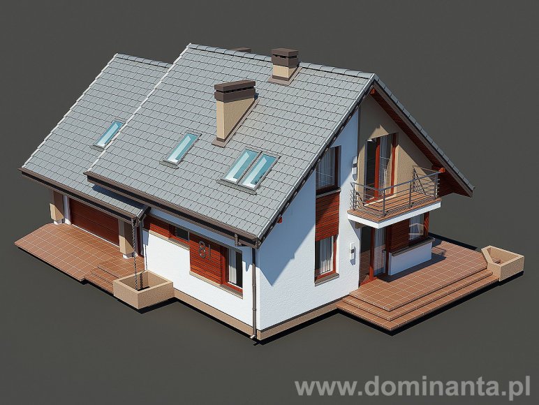Tomcio 2G (Odbicie lustrzane) - miniatura 4