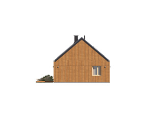 Paproć 3 (odbicie lustrzane) - miniatura 12