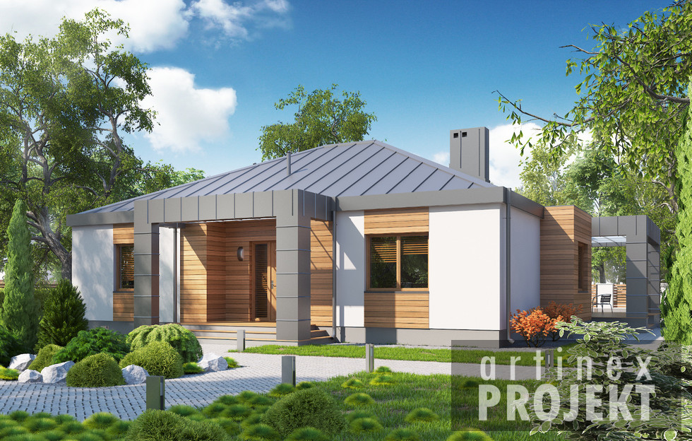 budowa domu- D123 - Zbyszek (odbicie lustrzane)- New-House