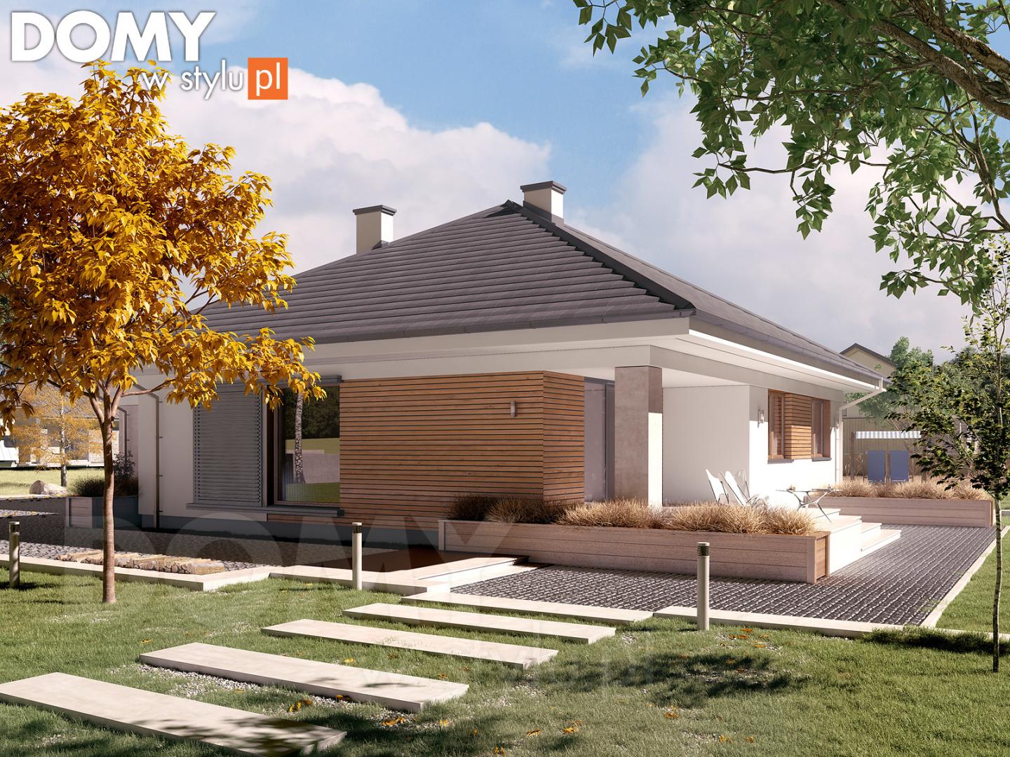 Kiwi 5 (odbicie lustrzane) - miniatura 2