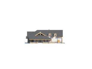 Cykada 6 (Odbicie lustrzane) - miniatura 9
